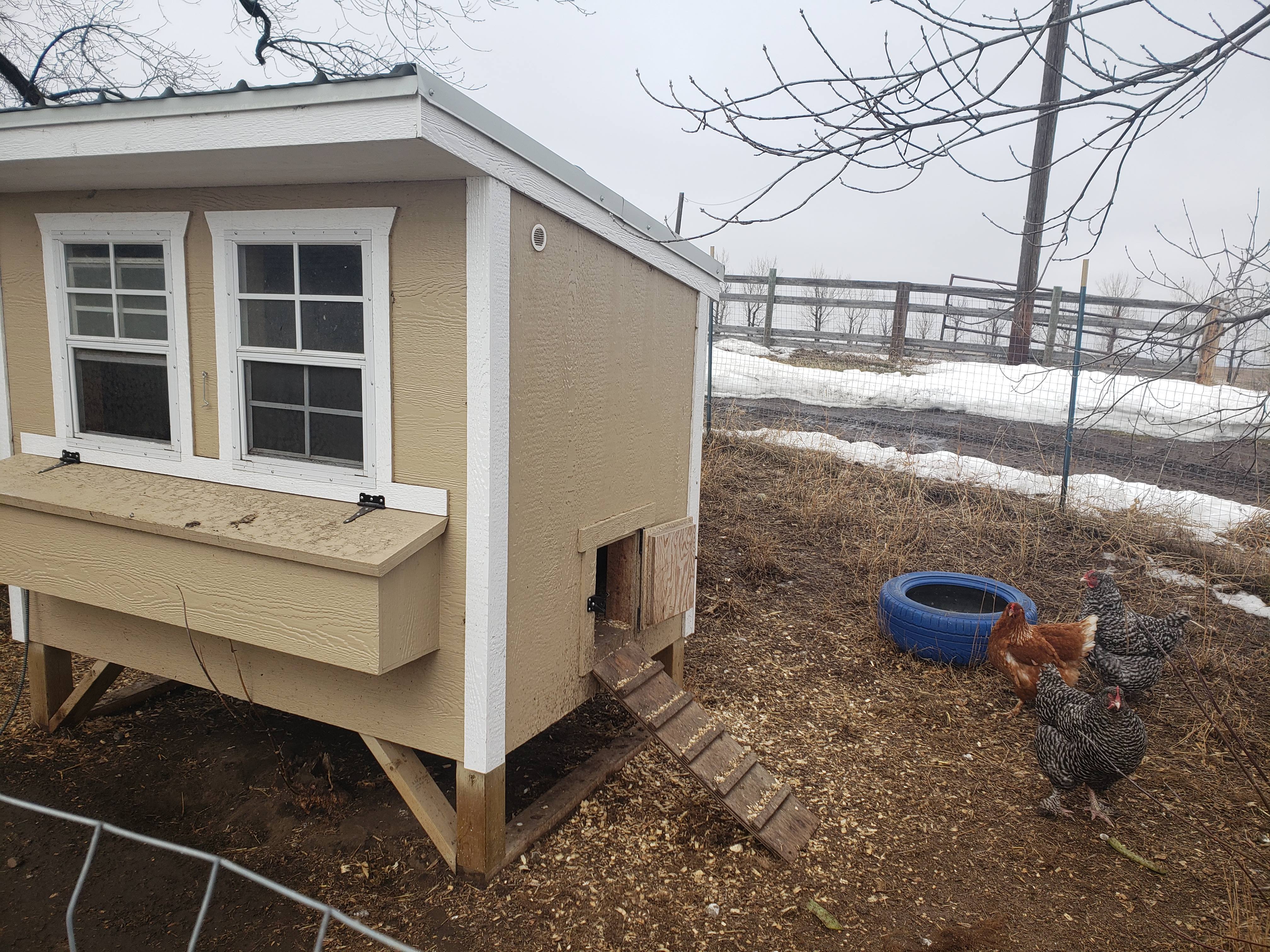 Easton's Chickens EH Farms